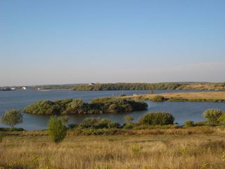 Stolnici